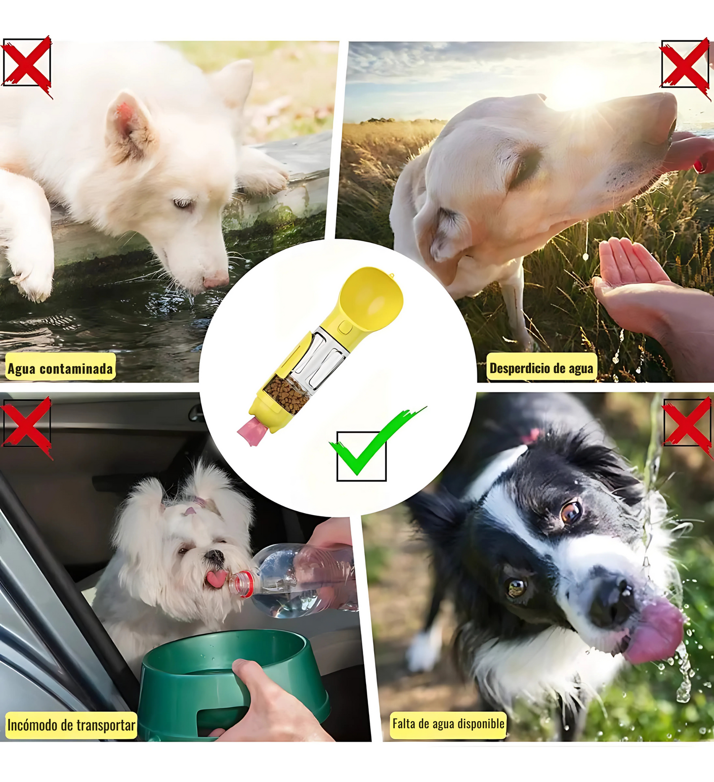 🐶 Bebedero Portátil 4-en-1 para Perros