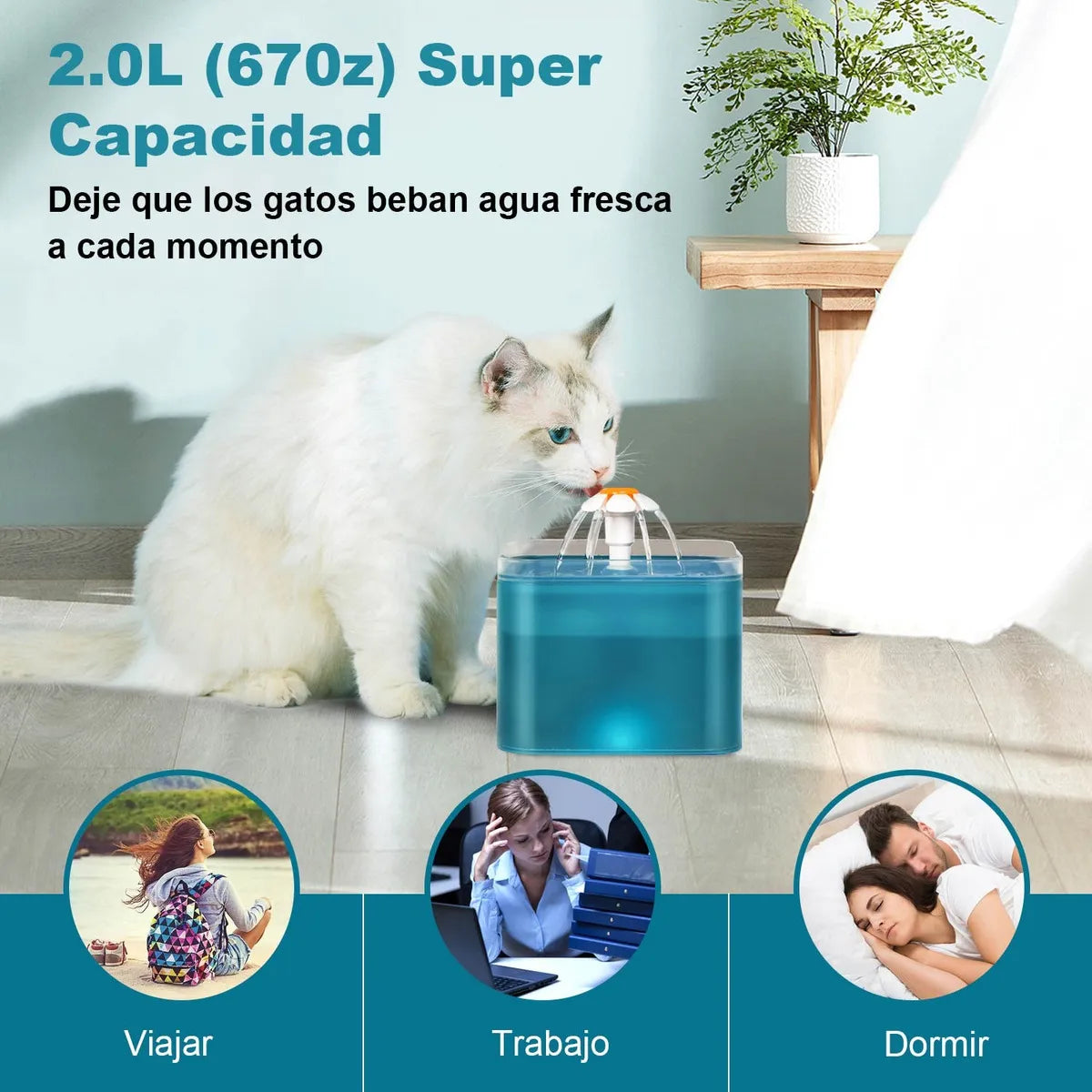 Porque Tu Michi Merece Lo Mejor 😻 Fuente automática 2L con filtro purificador 💦