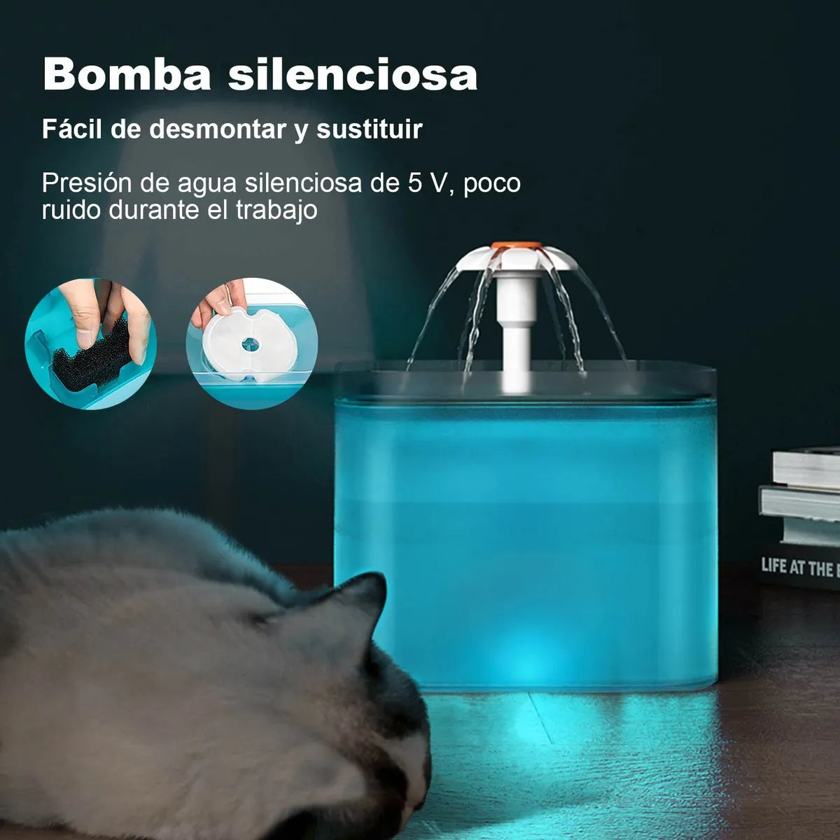 Porque Tu Michi Merece Lo Mejor 😻  Fuente automática 2L con filtro purificador 💦