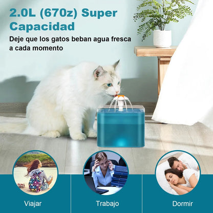 Porque Tu Michi Merece Lo Mejor 😻  Fuente automática 2L con filtro purificador 💦